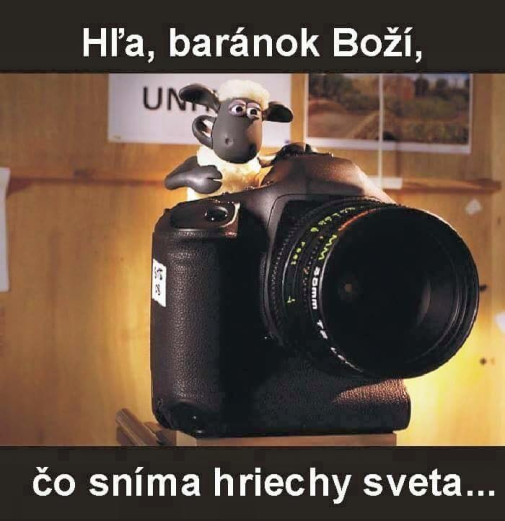 Shaun the fotograf